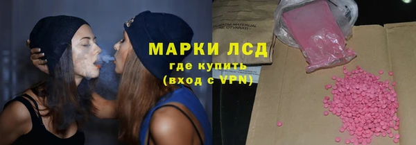 ГАЛЛЮЦИНОГЕННЫЕ ГРИБЫ Бородино