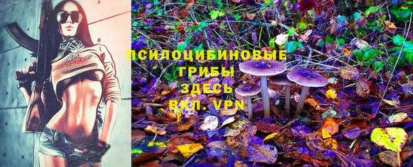 Альфа ПВП Верхний Тагил
