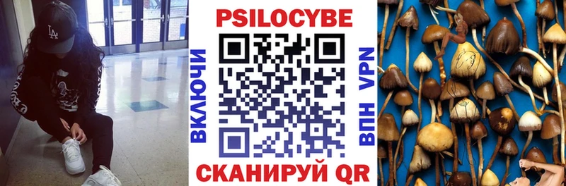 Купить  Павловский Посад  Псилоцибиновые грибы прущие грибы 